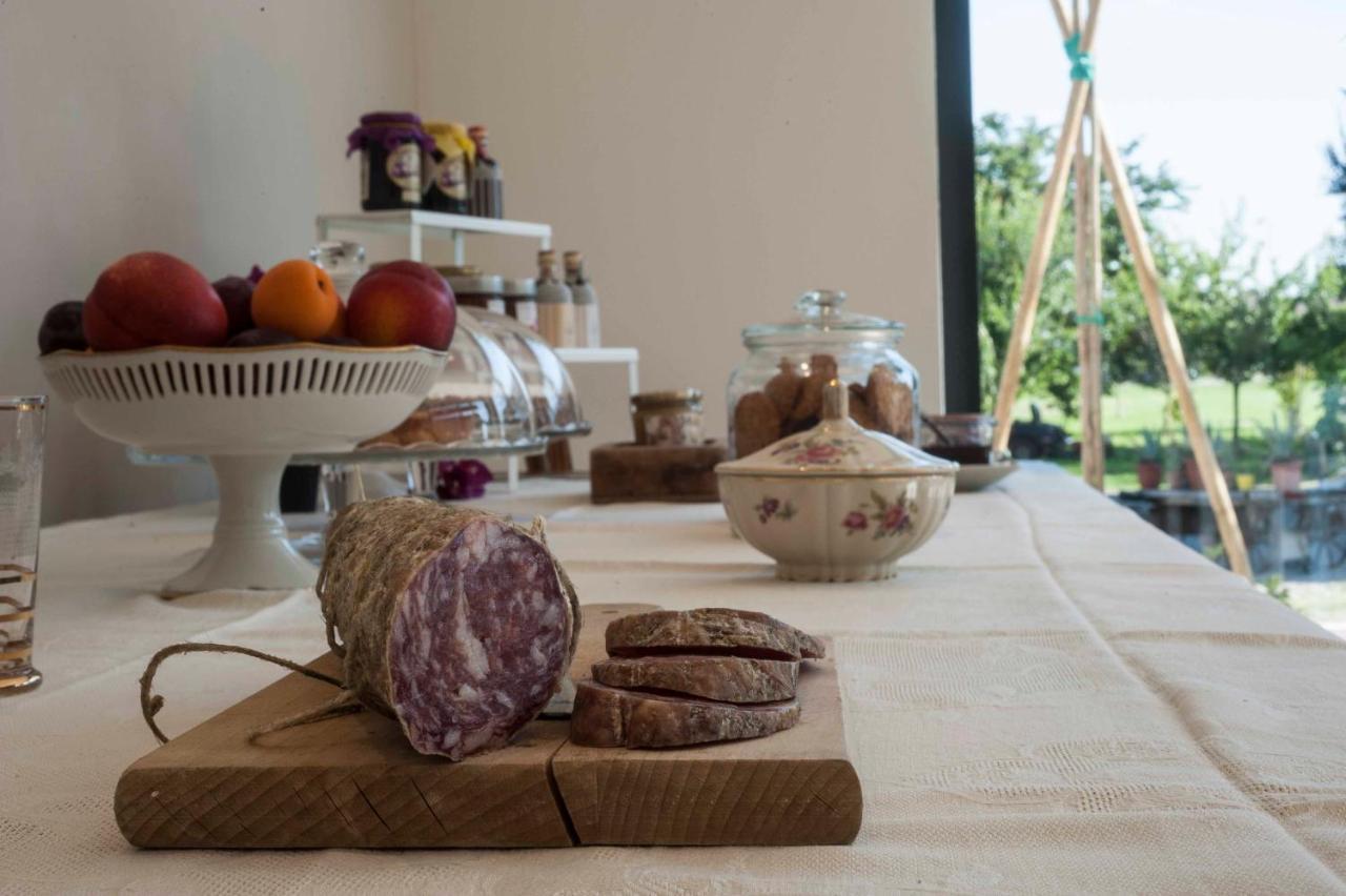 Le Ferrerie Agriturismo Fattoria Marchesini Praticello di Gattatico Extérieur photo